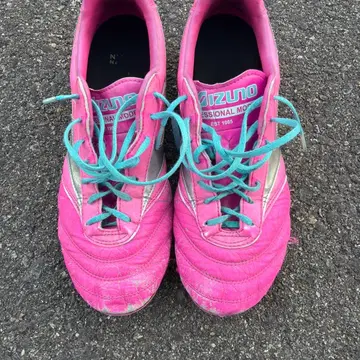 모렐리아2 ProAGP1GA231465 morelia2 pro AG 핑크