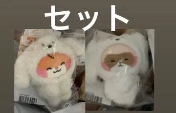 zeroni 비니니 마그넷 사진 홀더 zb1 비니니 하니니