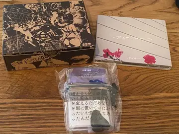 [지금만 가격 인하 중] 영 스키니 세트