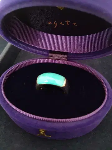 agete 아가트 실버 아마존 나이트 반지 13호