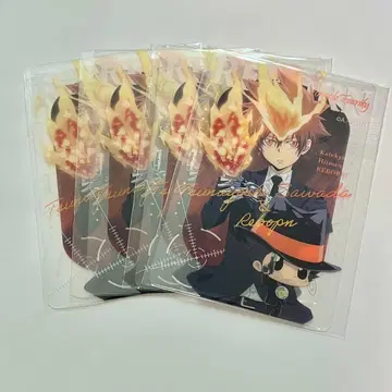 가정교사 히트맨 REBORN! 사와다 츠나요시 복권 플라