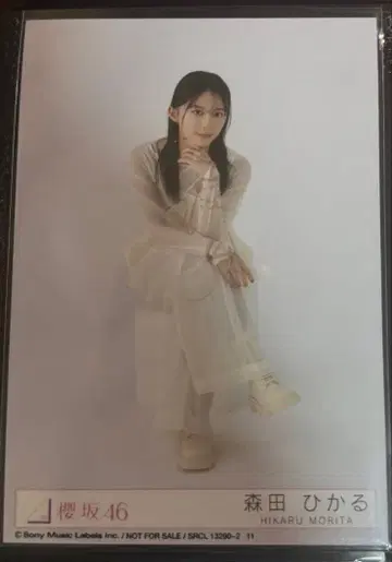 사쿠라자카46 모리타 히카루 씨 addiction