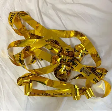 이레귤러 다이스 유스케 은색 테이프 무도관 파시요코 4개