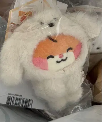 zeroni 비니니 마그넷 사진 홀더 zb1 비니니 한빈