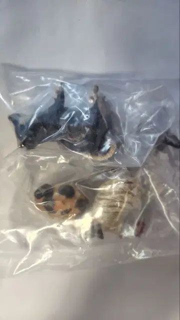 하시모토 미오의 브레멘 음악대 파보기 [ 브레멘 ]