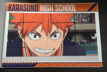 하이큐/히나타 쇼요/묶음 판매