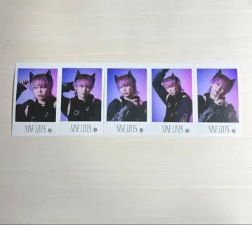 초특급 슈야 REAL? 미니 사진