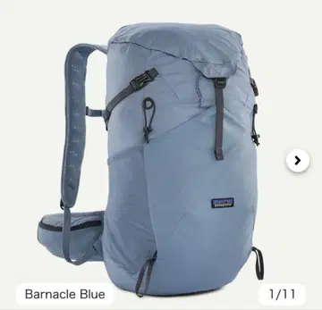 Patagonia 테라비아 팩 28L