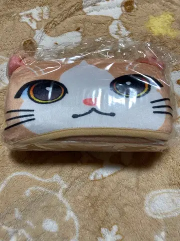 후지와라 이츠키 담요