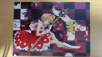 카드캡터 사쿠라 사쿠라전 클리어 파일 4장 세트