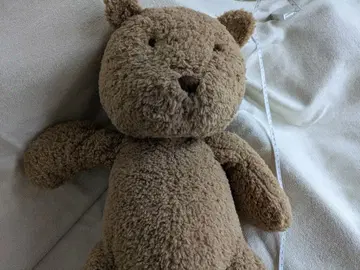 GAP 곰 봉제 인형 대