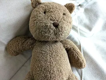 GAP 곰 봉제 인형 대