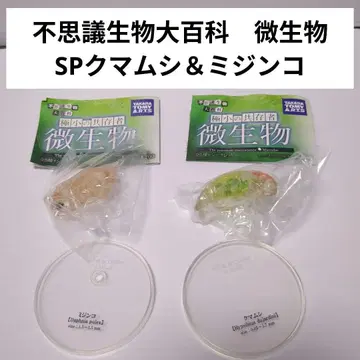 신비한 생물 대백과 미생물 완보동물 물벼룩 타카라토미