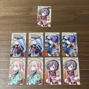 프로세카 니고 에피카 묶음 판매