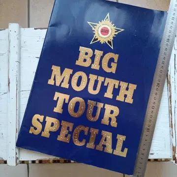 BIG MOUTH TOUR SPECIAL 1989년