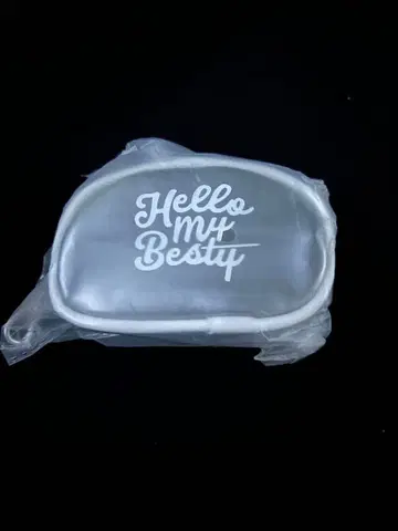 BE:FIRST 팬미니 보스턴 파우치 참 아이치 실버