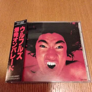 폭발 온 퍼레이드 울프루즈