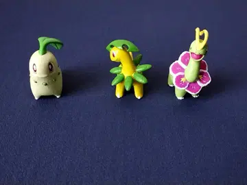 치코리타 베이리프 메가니움 포켓몬몬콜레 3체 세트 초기 타미 TOMY