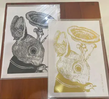 히구치 유코 대만전 A4 클리어 파일 2장 세트