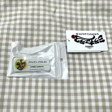 미라큘러스 아드리앙 샤누아르 네임 아크릴 배지 명찰