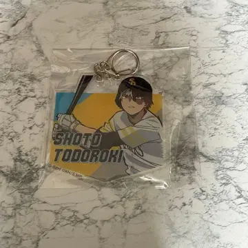 히로아카 토도로키 쇼토 후쿠오카 소프트뱅크 호크스 콜라보 아크릴 키링