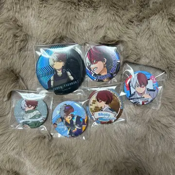 히로아카 토도로키 쇼토 캔뱃지