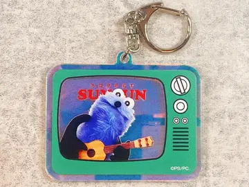 퍼펫 스 오로라 아크릴 키링 스 TV 그린