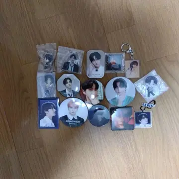 ENHYPEN JUNGWON 캔뱃지 키링 세트