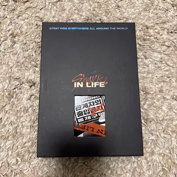 straykids 스키즈 IN 한정판 앨범 특전 포함
