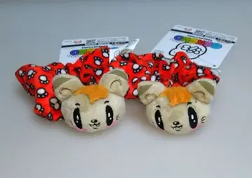 제 고양이 GENERATIONS 스크런치 시라하마 아란