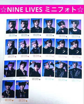 초특급 NINE LIVES 미니 사진 20장 묶음 판매
