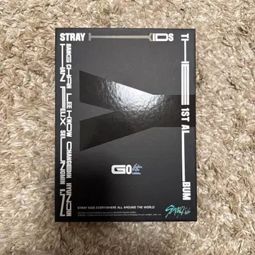straykids 스키즈 GO 한정판 앨범 특전 포함