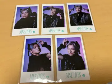 초특급 Aloha NINE LIVES 미니 사진 컴프 세트