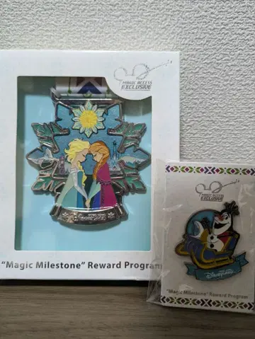 겨울왕국 메달 핀 배지 세트 홍콩 디즈니 Magic Access