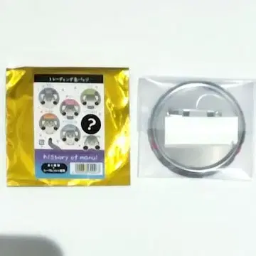 나스 동물 왕국 마눌 고양이 내원 10주년 기념 캔뱃지 시크릿