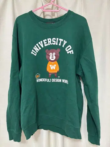 BEAMS 그린 L 사이즈 트레이닝복 맨투맨 더 원더풀 디자인 웍스