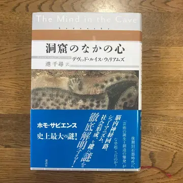 동굴 속의 마음 데이비드 루이스 윌리엄스