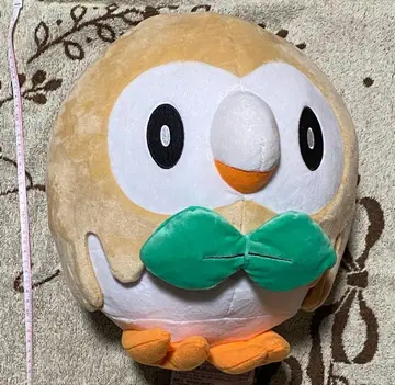 포켓몬 봉제 인형 등신대 모쿠로
