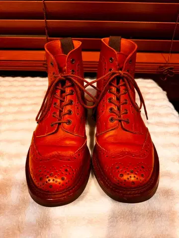 트리커스 윙팁 26cm 8