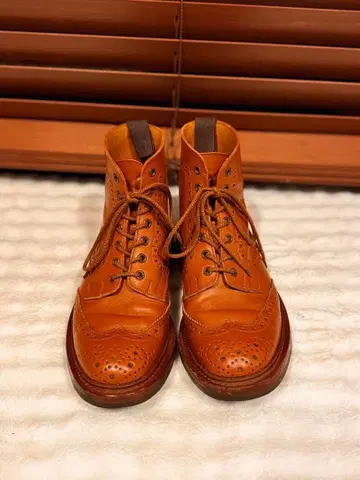 트리커스 윙팁 26cm 8