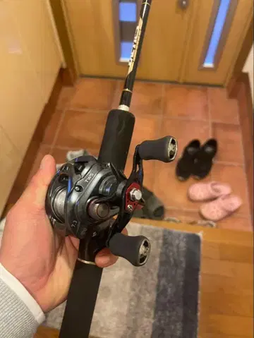DAIWA 스티즈A TW HLC 8.1L