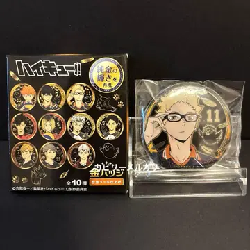 하이큐!! 금 배지 츠키시마 케이
