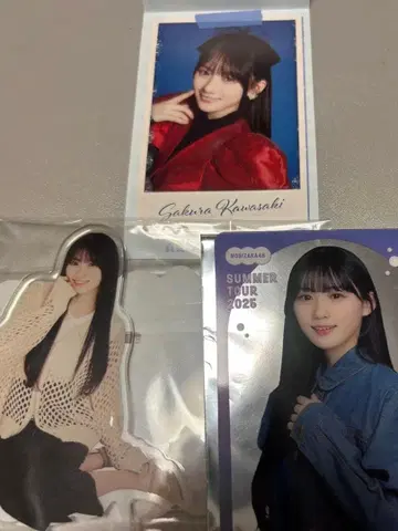 노기자카46 사쿠라가와 아크릴 스탠드 & 사진 세트