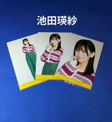 노기자카46 이케다 에레나 멀티 컬러 니트 컴프