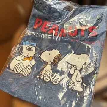 스누피 타운샵 오리지널 자수 데님 빅 토트 브라더스 2025