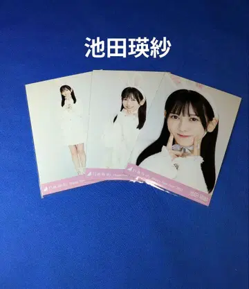 노기자카46 이케다 에이샤 십이지 토끼 컴프