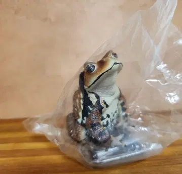 가챠 일본의 개구리 특장판 일본 두꺼비 정교 미니어처