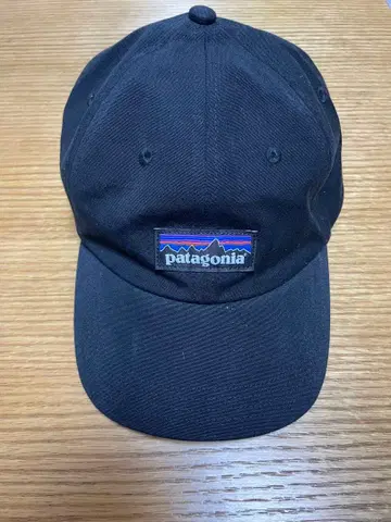 patagonia 블랙 캡