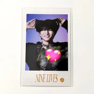 초특급 REAL? NINE LIVES 미니 사진 하루 사인