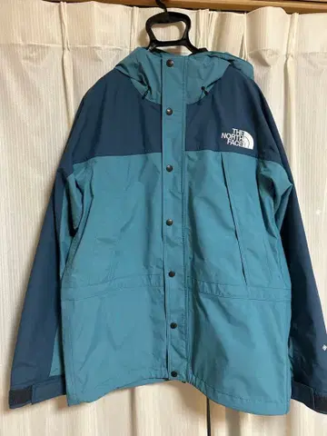 THE NORTH FACE 고어텍스 마운틴 후드티 L 사이즈
